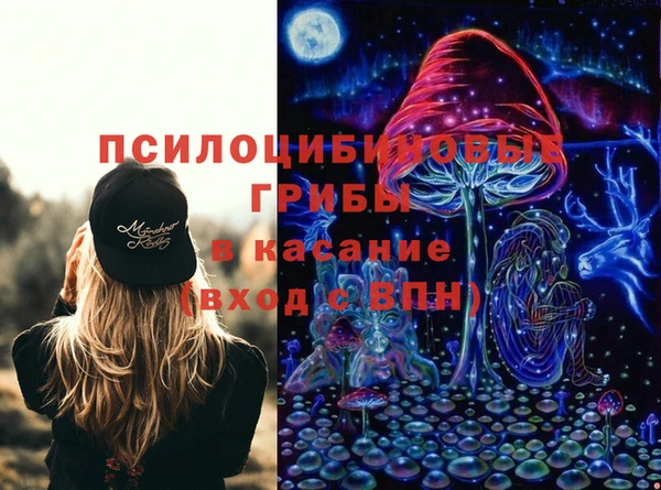 мяу мяу мука Алзамай
