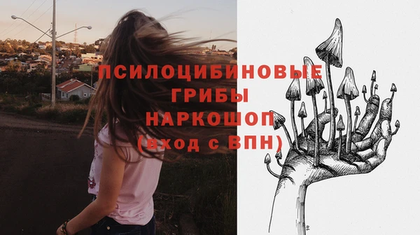 бутират Алексеевка